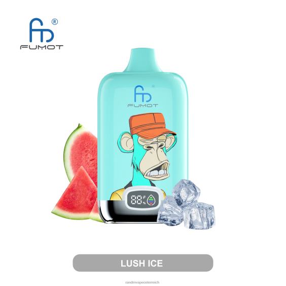 Fumot Original RandM Digital Box 12000-Akku und Liquid-Display-Vape-Gerät Mango auf Eis RandM vape wien 8FV8T12