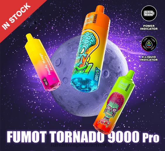 Fumot RandM Tornado 9000 Pro Vape-Gerät mit Akku und E-Juice-Display Version 3 frische Minze tornado vape kaufen 8FV8T224
